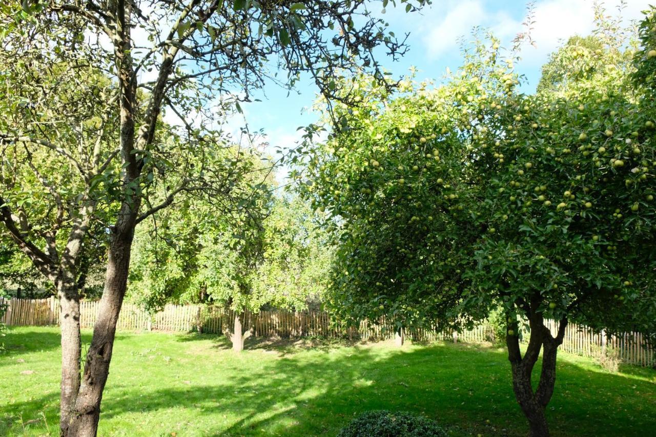 Urlaubsoase Ostsee Hohen Schoenberg Zewnętrze zdjęcie