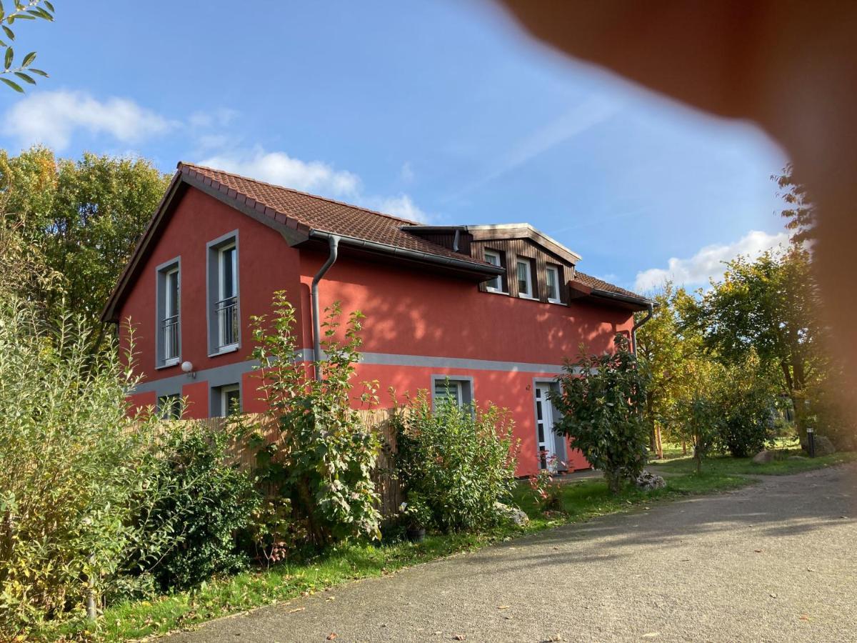 Urlaubsoase Ostsee Hohen Schoenberg Zewnętrze zdjęcie