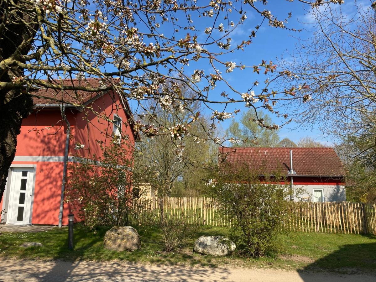 Urlaubsoase Ostsee Hohen Schoenberg Zewnętrze zdjęcie